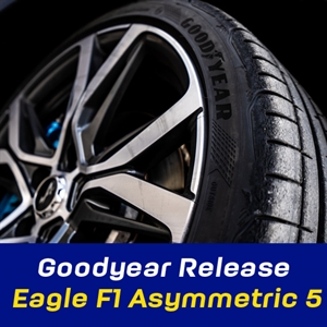 Goodyear F1 5